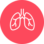 Lungs Icon pink