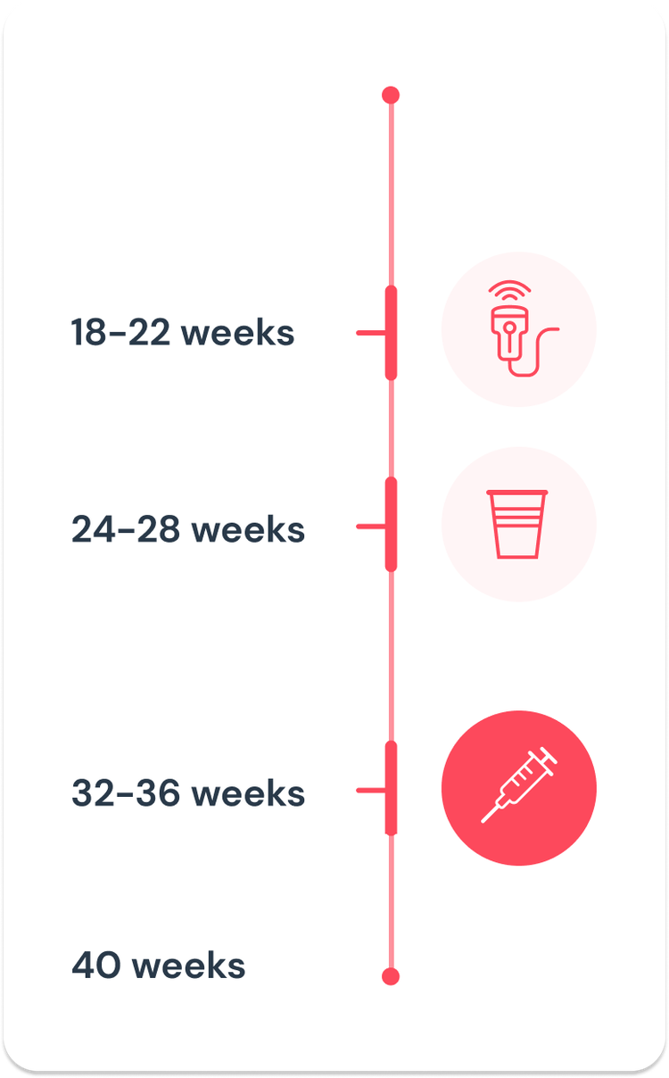 Appointment timeline during pregnancy