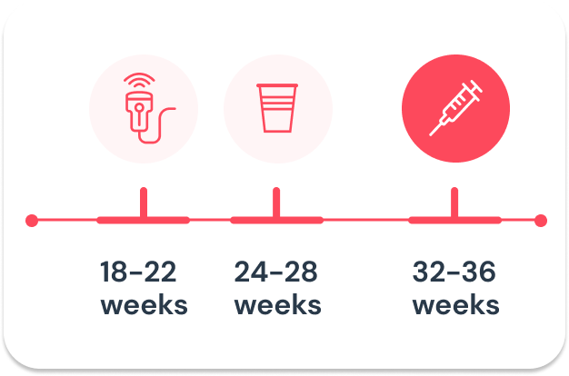 Appointment timeline during pregnancy